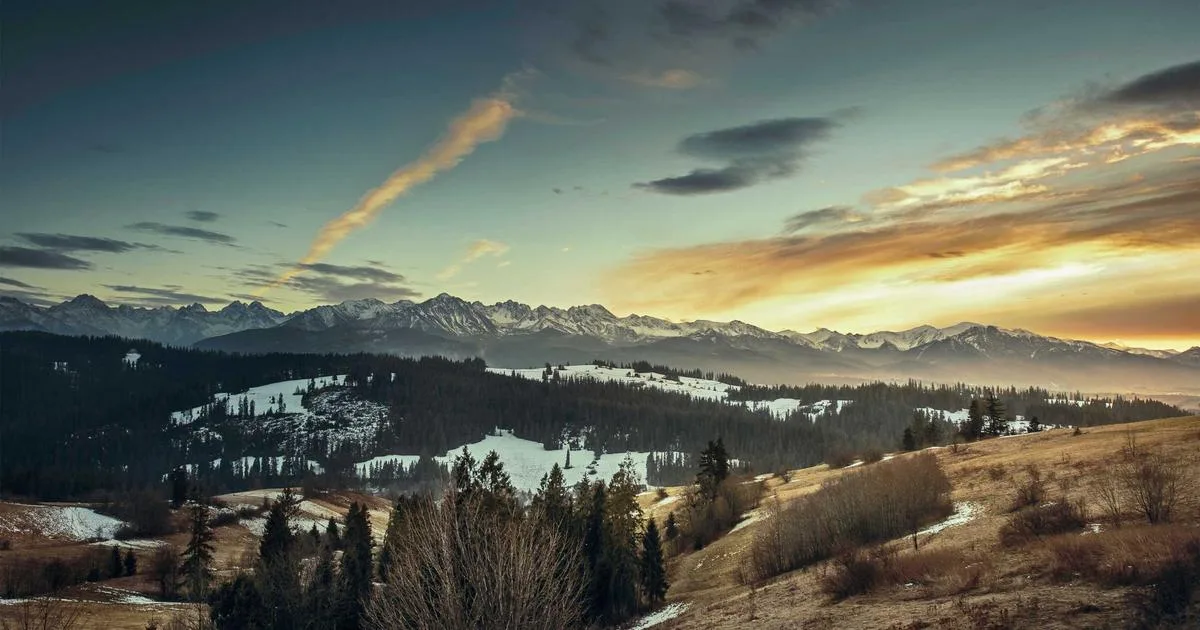 Google Ads per attività locali nel Salento: guida pratica 2025