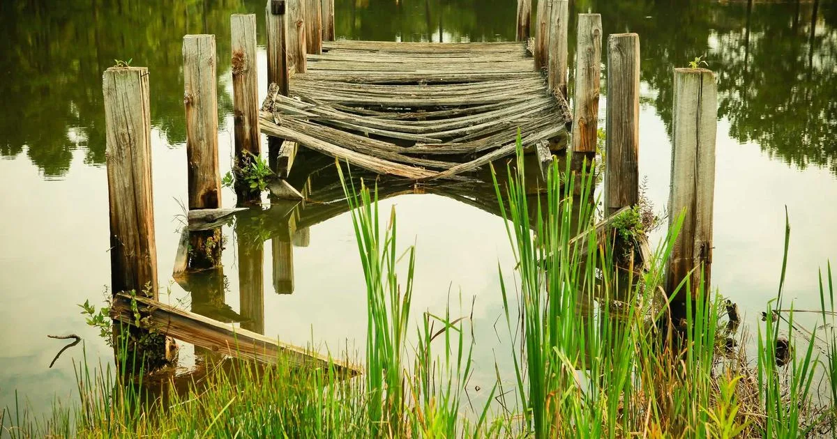 Roll-up e banner per fiere ed eventi nel Salento: guida completa 2025