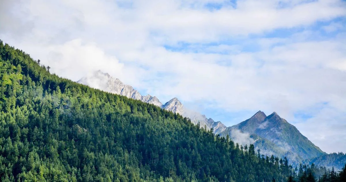 Stampa di volantini e locandine a Lecce: guida prezzi e consigli 2025